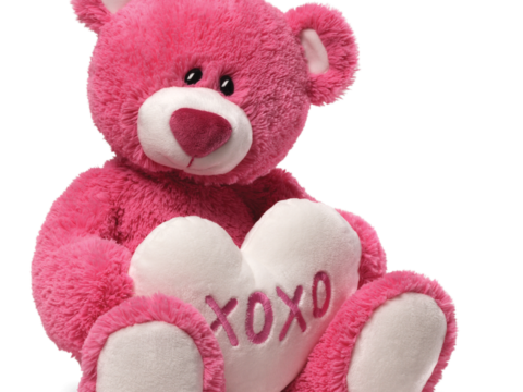 Pink teddy bear