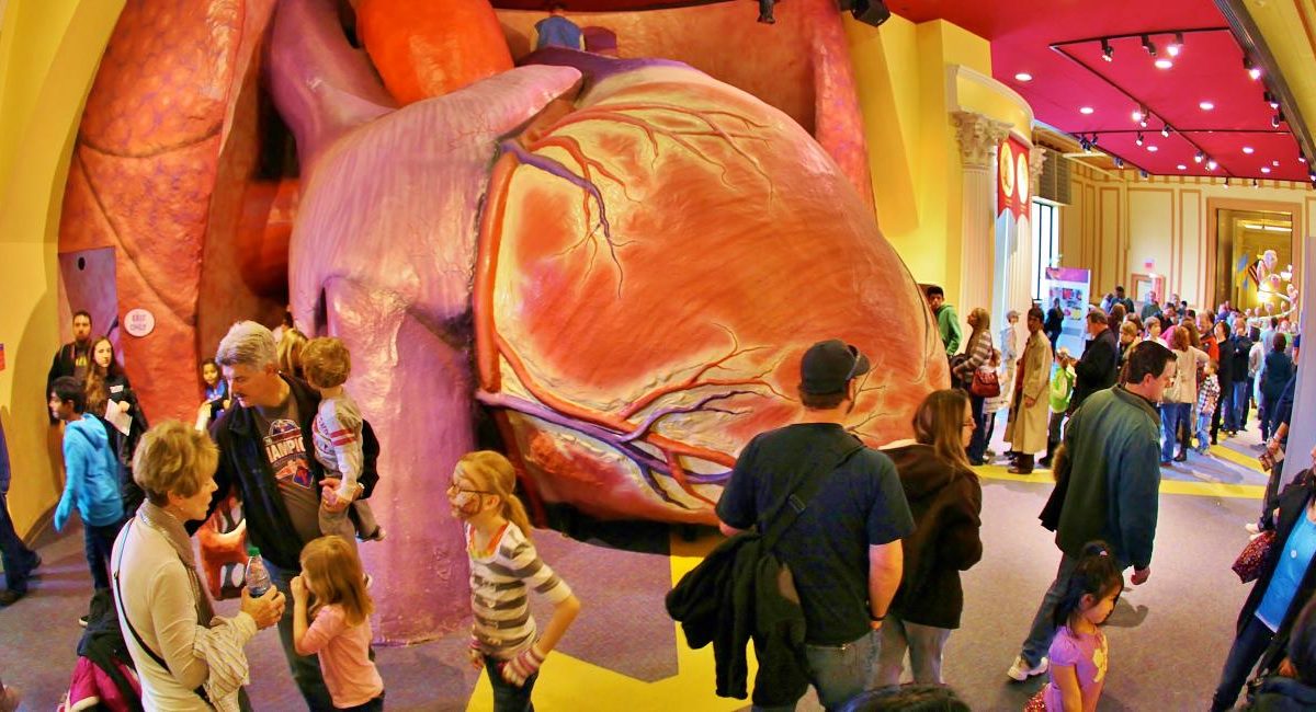 The Franklin Institute's legendary heart exhibit.