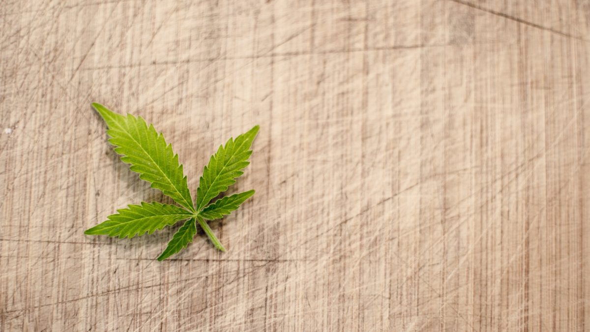 Cannabis leaf on a linen background