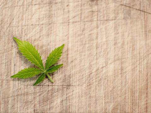 Cannabis leaf on a linen background
